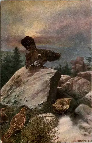 Auerhahn - Künstler AK L. Fromme -648100