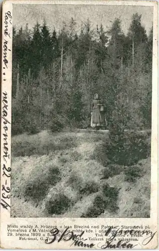 Les Brezina u Polne - Anezka Hruzova -648232