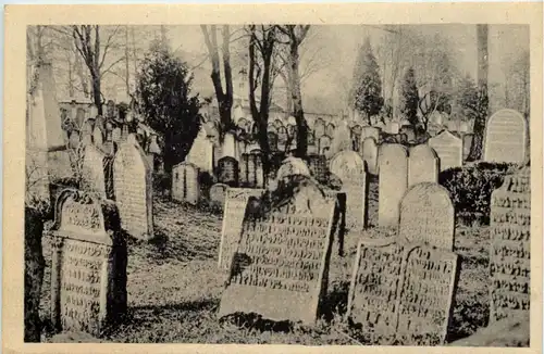 Novy Bydzov - Stary zidovsky hrbitov - Judaika -648250