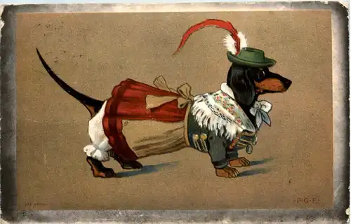 Dackel in Kleidern -649288