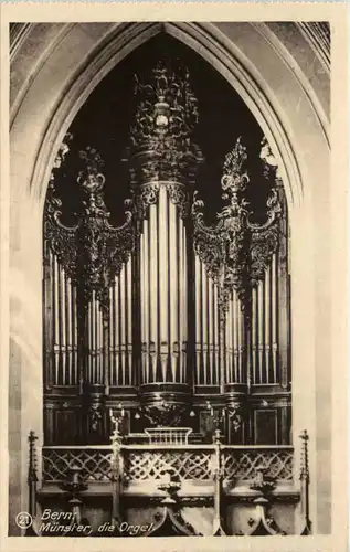 Bern - Münster - Orgel -649392