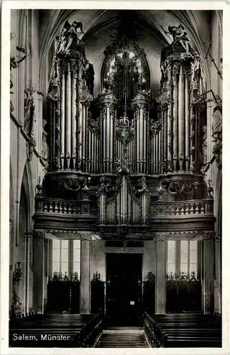 Salem Münster - Orgel -649406