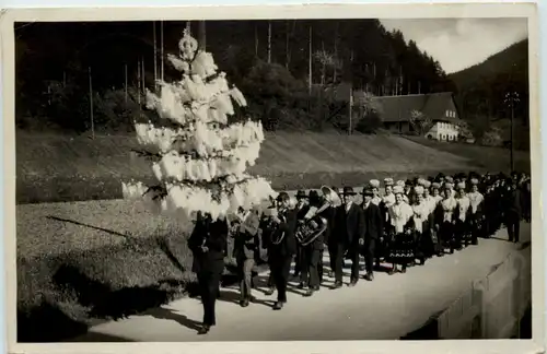 Hochzeitszug in Bad Rippoldsau -649964