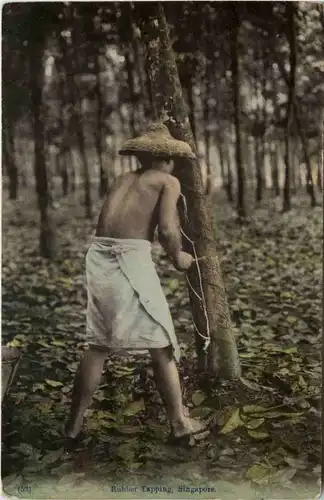 Singapore - Rubber Tapping -650788
