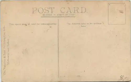 Australia - Laughing Jackasses - Kookaburras -650794