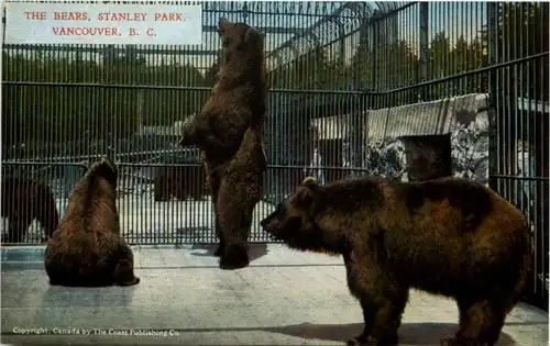 Vancouver - The Bears - Stanley Park -650778