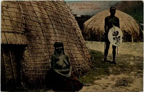 A Zulu Warrior about to Propose -650920