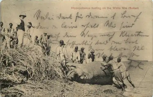 Hippopotamus hunting on the White Nile Sudan -650916