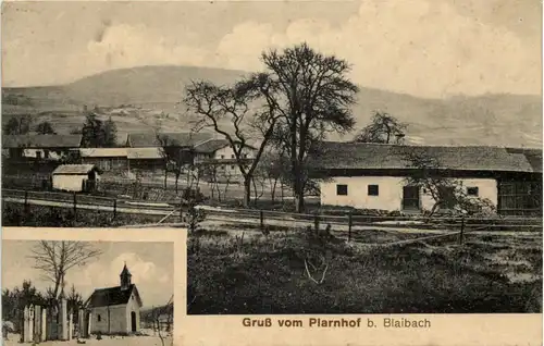 Gruss vom Plarnhof bei Blaibach -651928