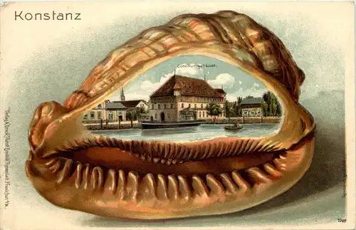 Konstanz - Litho Prägekarte Muschel -652036