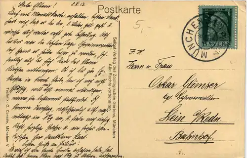 München - Zoologischer Garten - Riesenkänguruh -651912