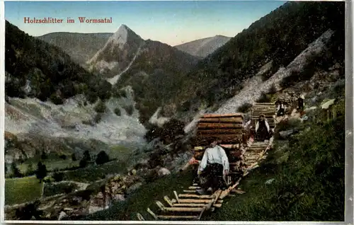 Holzschlitter im Wormsatal -652242