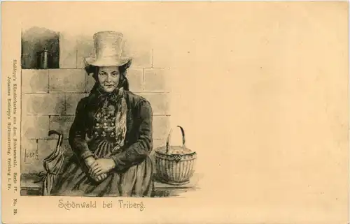 Schönwald bei Triberg -652394