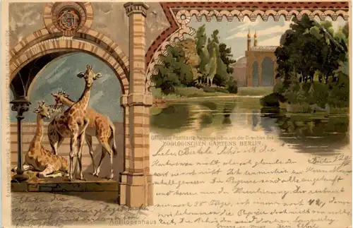 Berlin - Gruss aus dem Zoologischen Garten - Giraffe - Litho -653548