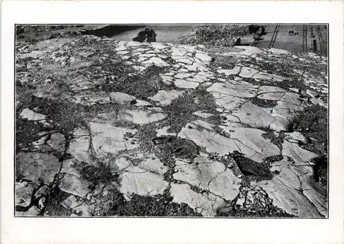 Episkopfreunde Stuttgart -653514