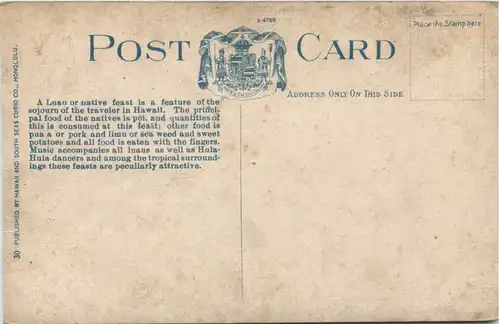 Hawaii - NAtive Feast or Luau -653928