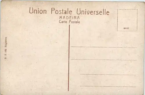 Madeira - Natives -653912