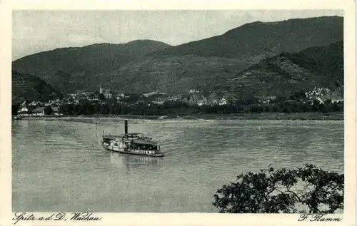 Spitz an der Donau, Wachau -532174