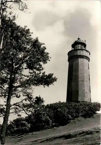 Dornbusch auf Hiddensee, Am Leuchtturm -532558