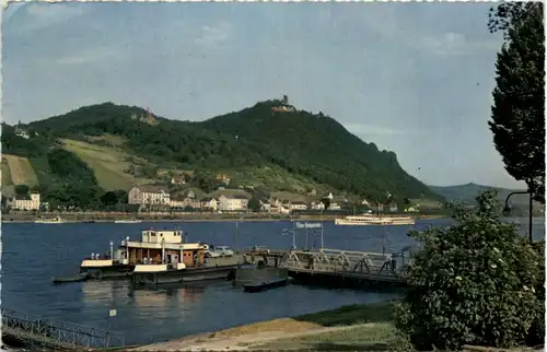 Blick über den Rhein auf Königswinter und den Drachenfels -533380