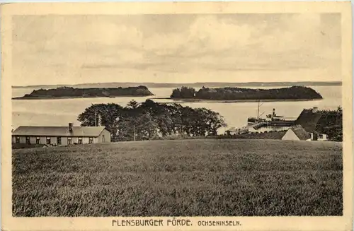 Flensburger Förde, Ochseninseln -533706