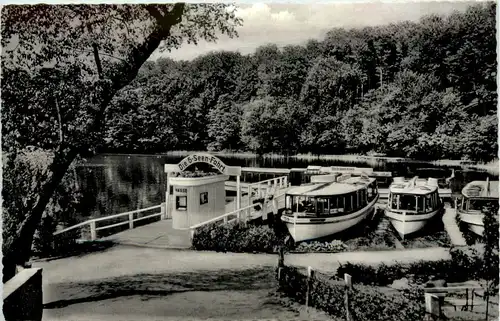 Malente - Gremsmühlen, Anlegebrücke 5-Seen-Fahrt am Dieksee -534386