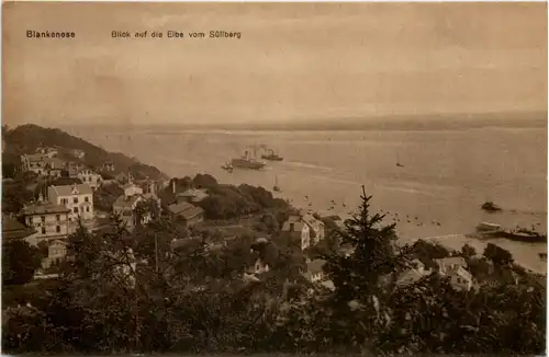 Blankenese, Blick auf die Elbe vom Süllberg -534288