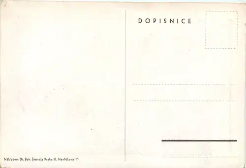 Russia - Sitzung der Delegierten im Kreml -654284