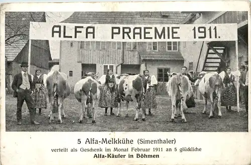 Alfa Käufer in Böhmen - Kühe -654478