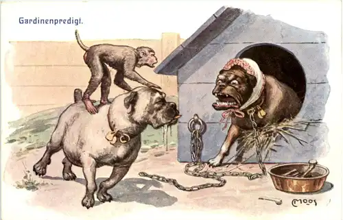 Hund Affe - Gardinenpredigt -654940