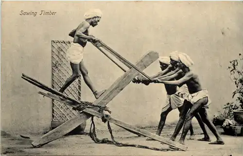 india - Sawing Timber -654922