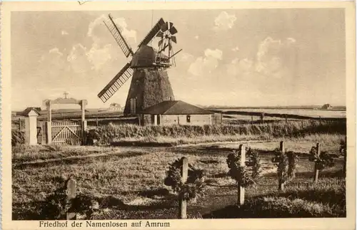 Friedhof der Namenlosen auf Amrum -655370