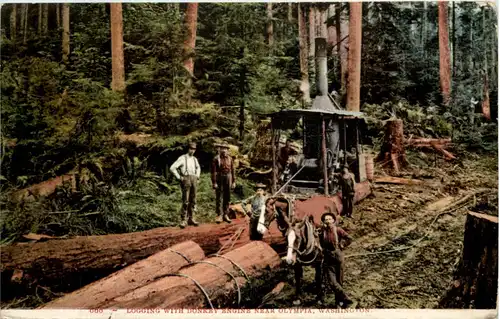 Logging with Donkey Engine near Olympia Washington -655654