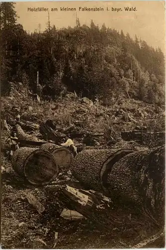 Holzfäller am kleinen Falkenstein -655684