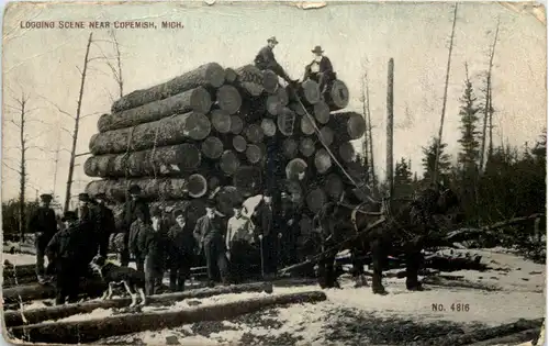 Logging Scene near Copemish Michigan -655658