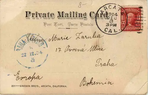 California Redwoods - The Fallen giant -655680