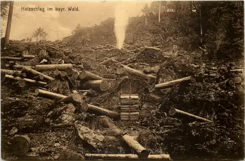 Halzschlag im Bayerischen Wald - Zwiesel -655700