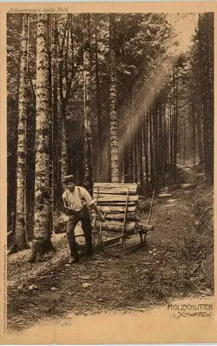 Holzschlitter im Schwarzwald -655746