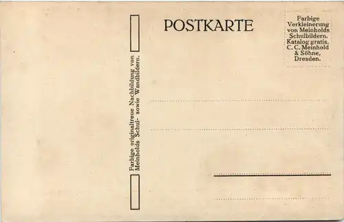 Beruf Schreiner -655892