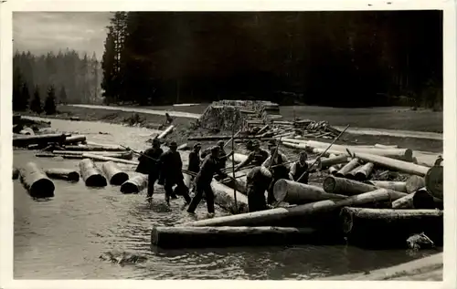 Blöchertrift im bayer. Walde -655922