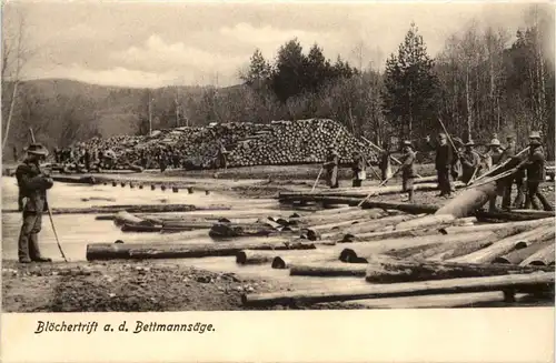 Blöchertrift a. d. Bettmannsäge - Regen -655920