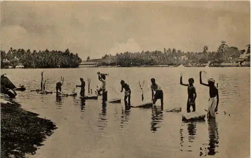 In Colombo lake -655610