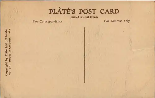 In Colombo lake -655610