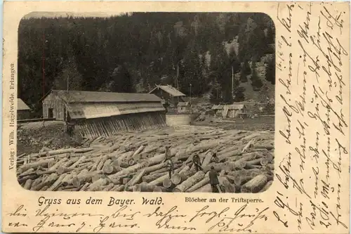 Gruss aus dem bayer. Wald - Blöcher an der Triftsperre -655928