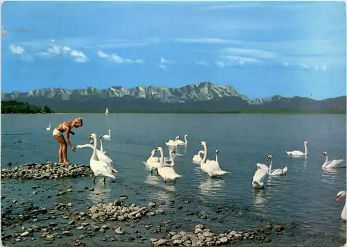 Der Ammersee, die Strandgäste -534760