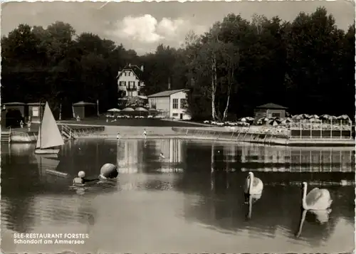 Der Ammersee, Schondorf, Strandbad Forster -535198