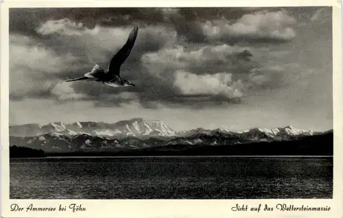 Der Ammersee, bei Föhn, Sicht auf das Wettersteinmassiv -535254