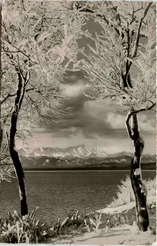 Am Ammersee, Rauhreif -535652