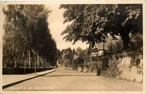 Ammersee, Schondorf, an der Seepromenade -536862