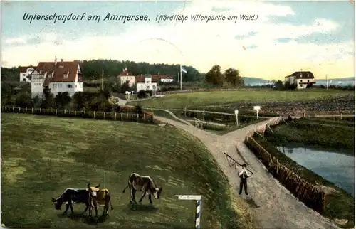 Ammersee, Unter-Schondorf, Nördliche Villenpartie am Wald -536852